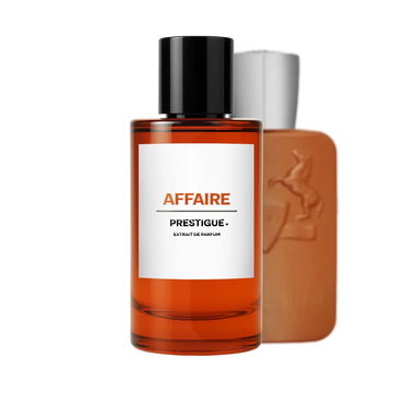AFFAIRE reference image